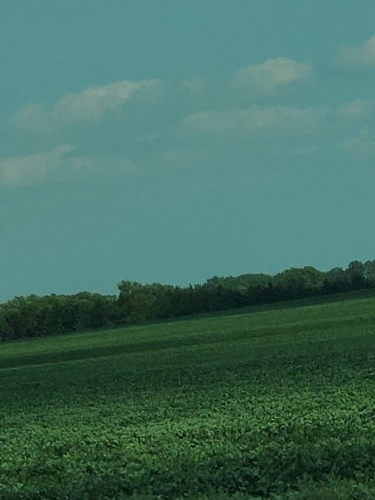 20200813_120955